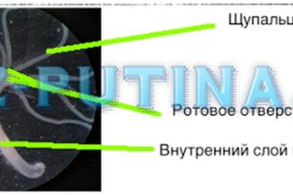 Украли аккаунт на кракене даркнет