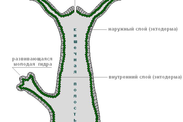 Правильная ссылка на кракен