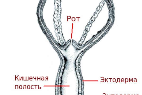 Кракен площадка торговая что это