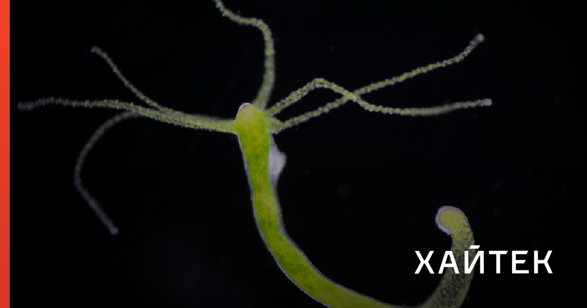 Kraken cc зеркало kr2web in